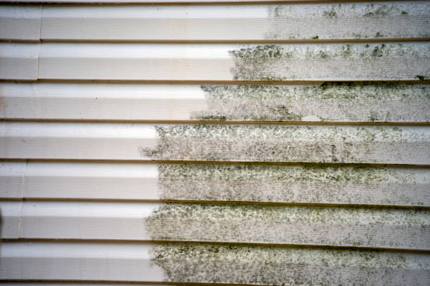 Best Same-Day Junk Removal Services  in Clarks Green, PA