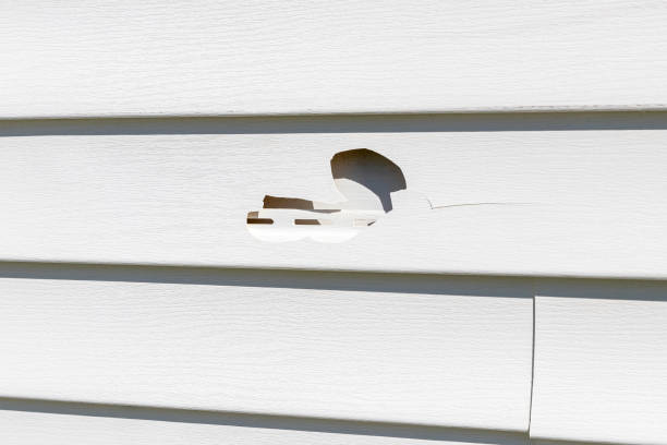 Best Property Management Cleanouts  in Clarks Green, PA